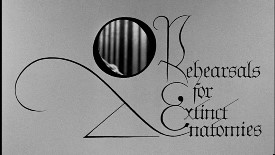 Phantom Museums - The Quay Brothers Short Films